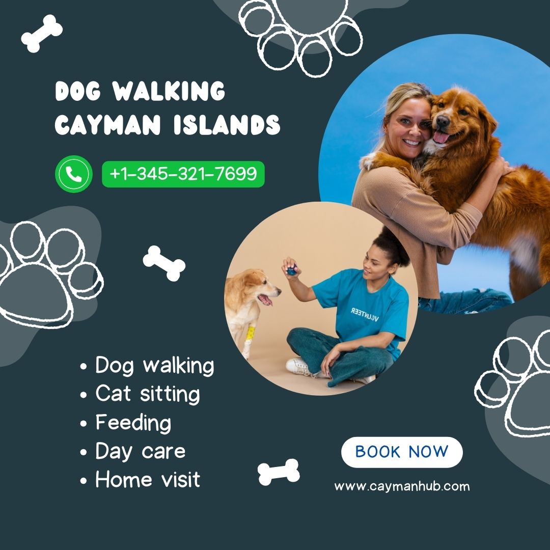 best dog walking services in cayman islands